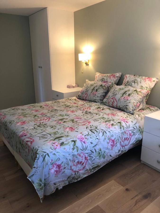 Le Colombier Apartment Annecy Bagian luar foto