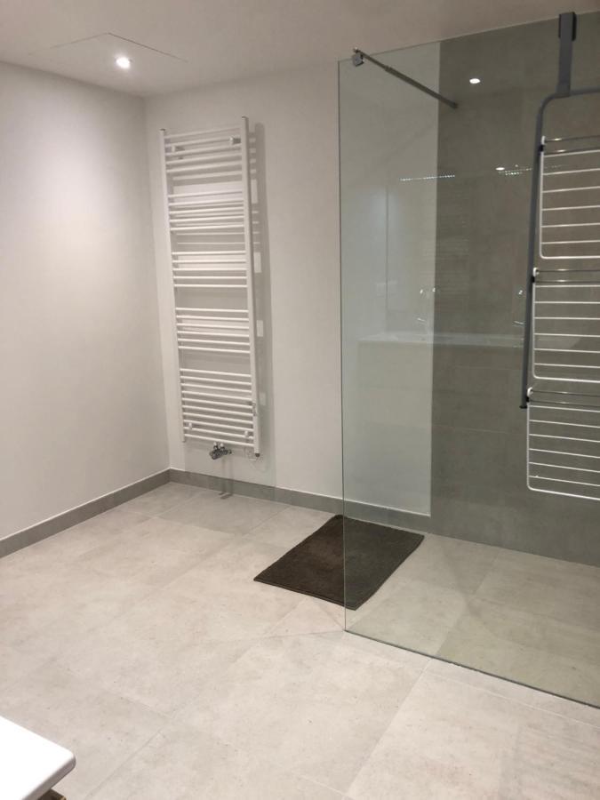 Le Colombier Apartment Annecy Bagian luar foto
